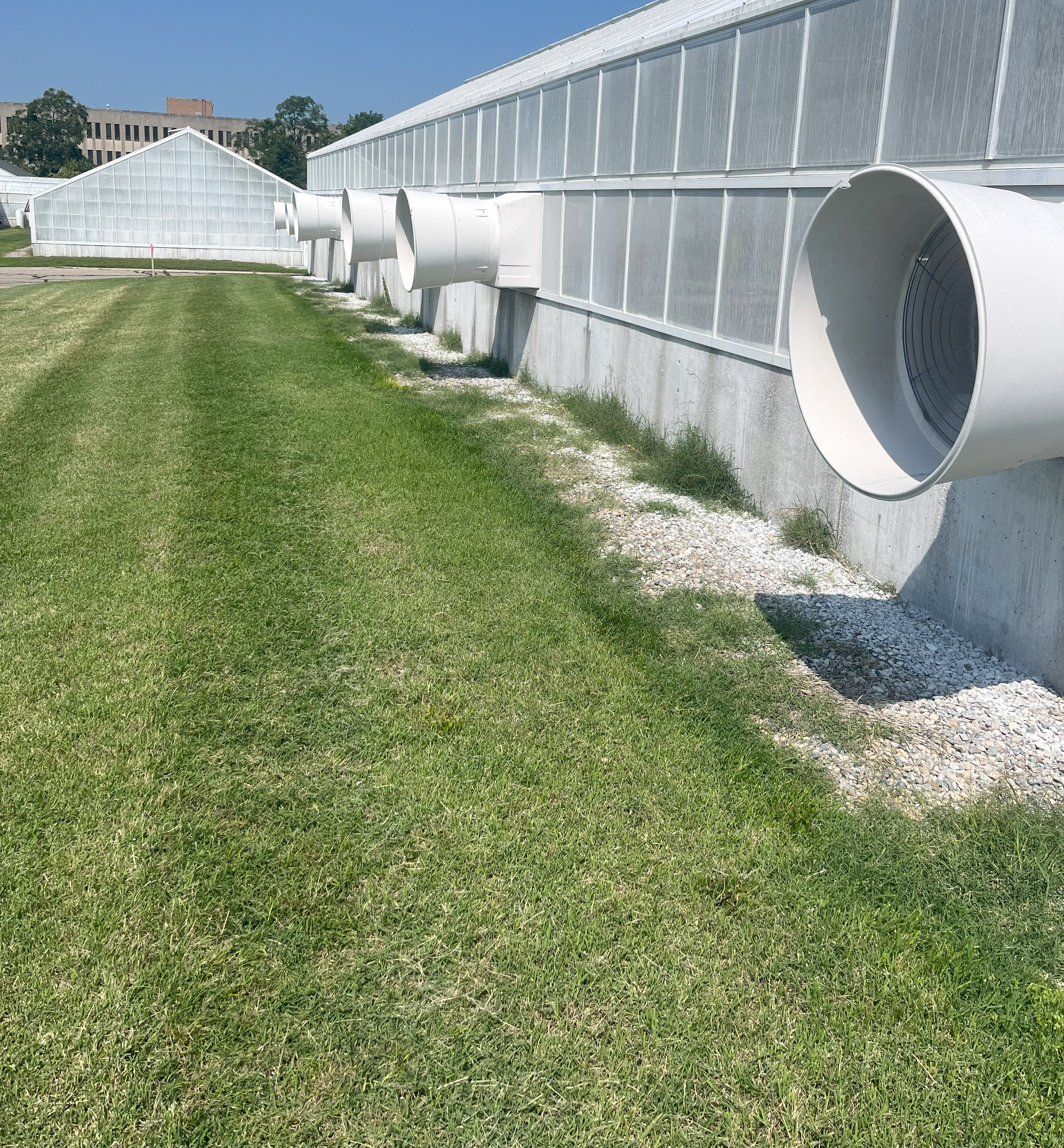 Landscape view of grass next to a greenhouse.